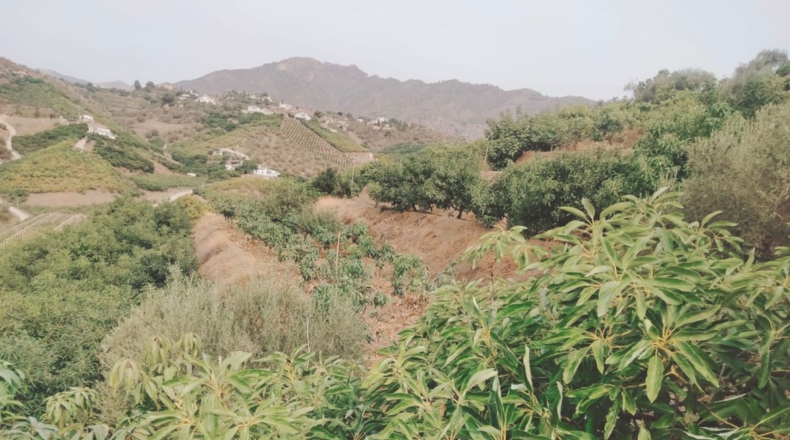 Málaga - San Rafael - 7000m2