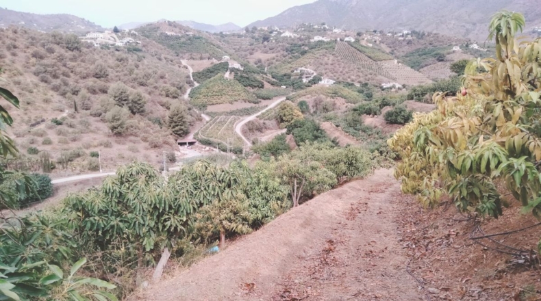 Málaga - San Rafael - 7000m2