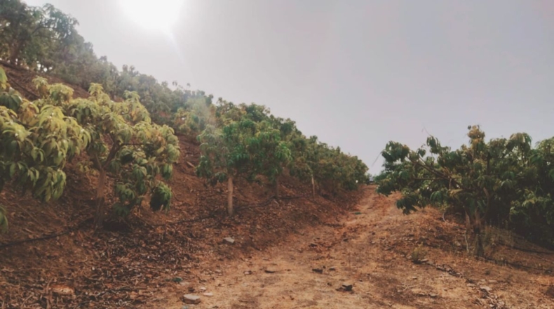 Málaga - San Rafael - 7000m2
