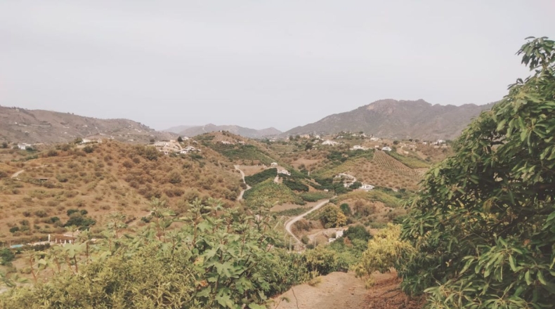 Málaga - San Rafael - 7000m2