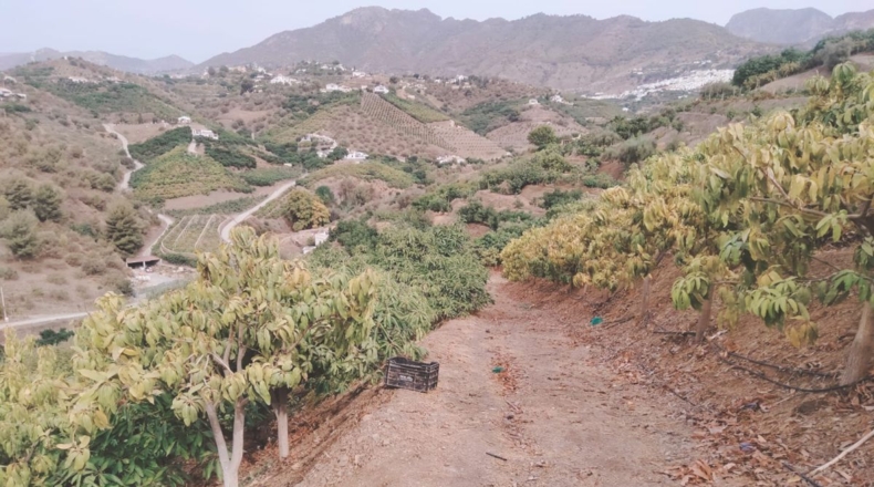 Málaga - San Rafael - 7000m2