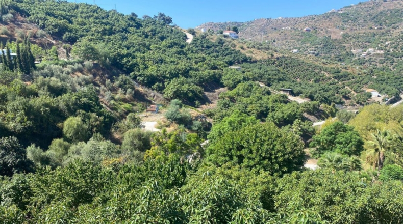 Málaga - Torrox - 4000m2