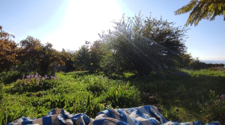 Málaga - San Rafael - 3500m2