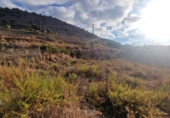 Parcel·la urbanitzable en venda a Nerja ref.: TR91835 foto