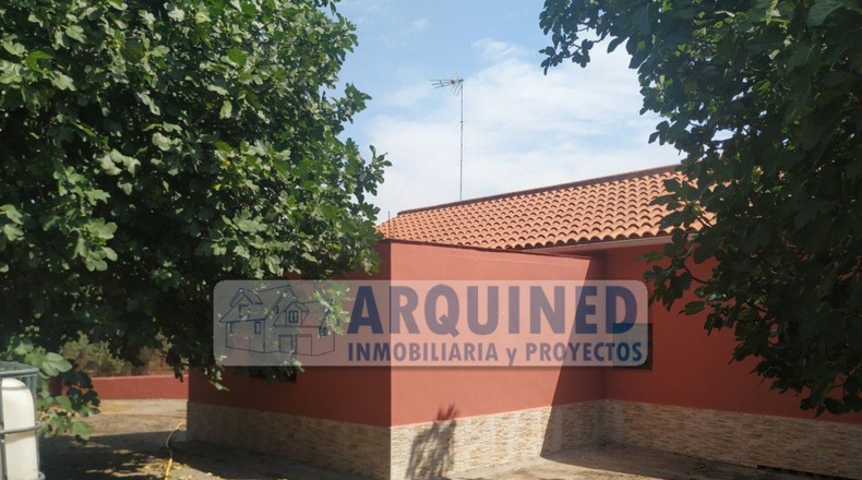Badajoz - Segura de León - 10000m2