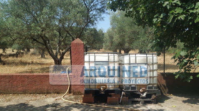Badajoz - Segura de León - 10000m2
