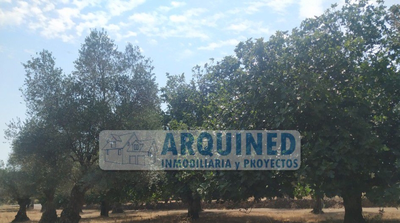 Badajoz - Segura de León - 10000m2