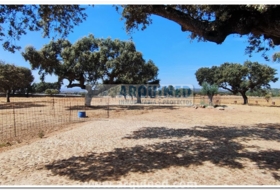 Higuera la Real 250&nbsp;m² 