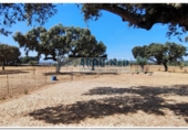 Finca rústica en venda a Higuera la Real ref.: TR277476 foto