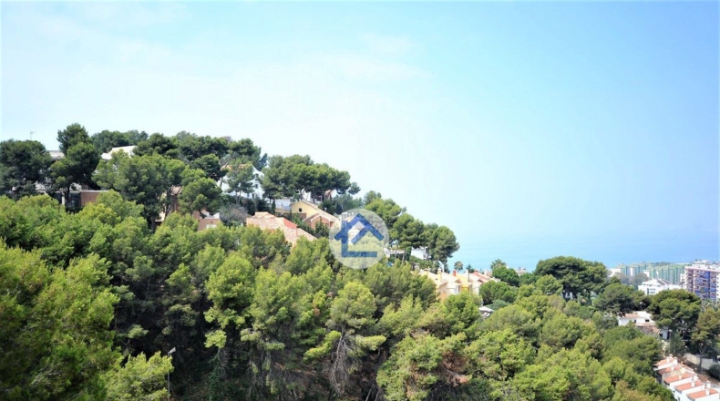 Malaga - Málaga - 295m2