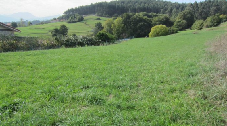 Cantabria - Treto - 600m2