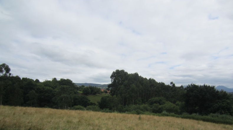 Cantabria - La Bárcena - 5700m2