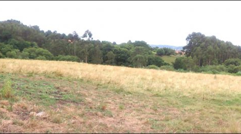 Cantabria - La Bárcena - 5700m2