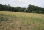 Non-developable land for sale in Ampuero ref: TR99484 photo