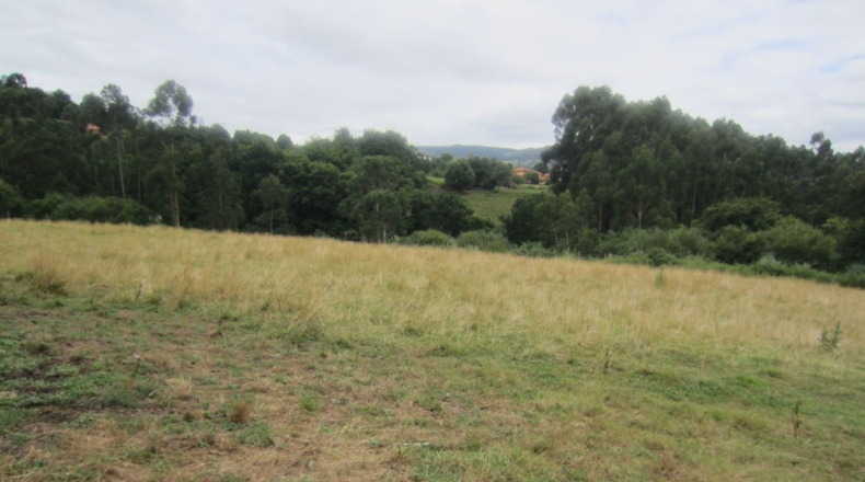 Cantabria - La Bárcena - 5700m2