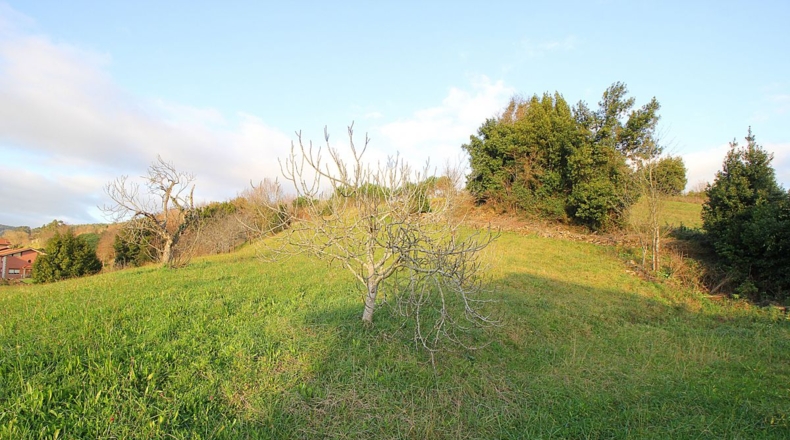 Cantabria - La Bárcena - 8608m2