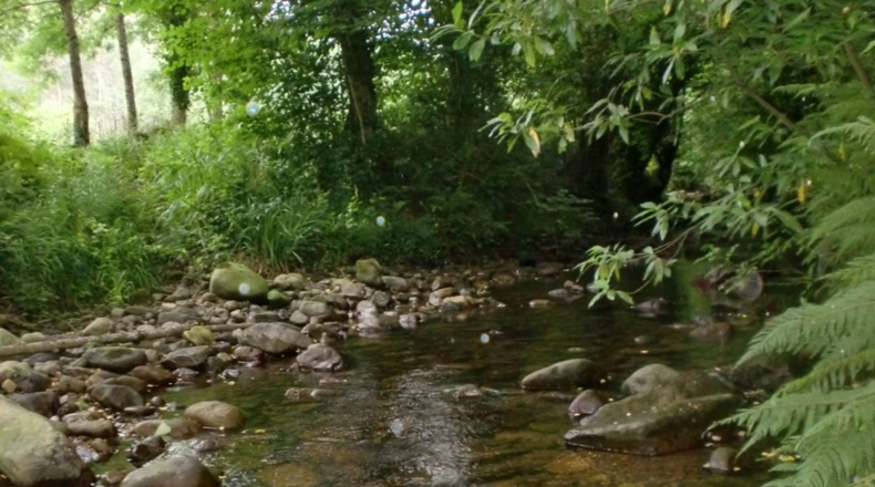 Cantabria - Rasines - 746m2