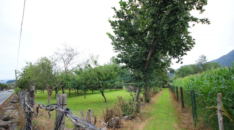 Cantabria - Rocillo - 1400m2