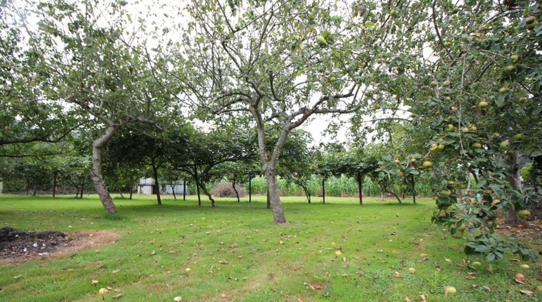 Cantabria - Rocillo - 1400m2