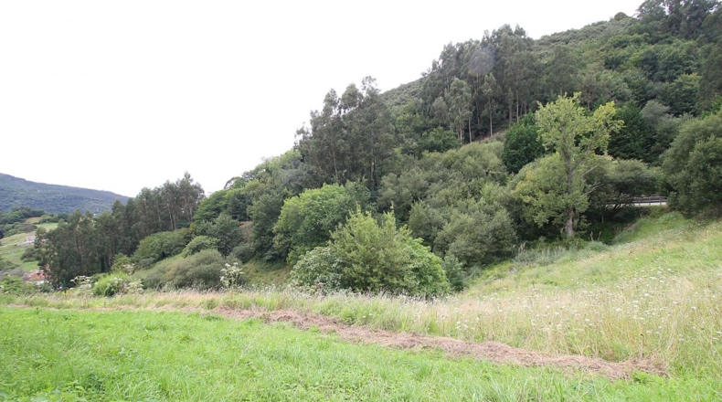 Cantabria - Limpias - 800m2