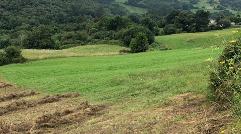 Cantabria - Mollaneda - 4720m2