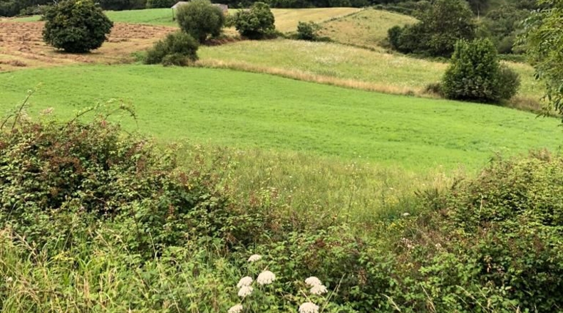 Cantabria - Mollaneda - 4720m2