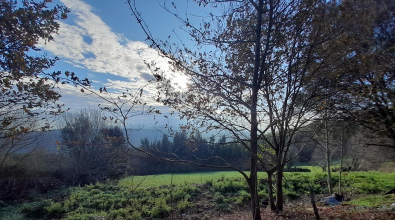 Cantabria - La Aparecida - 150m2
