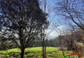 Finca rústica en venta en Ampuero ref: TR67879 foto
