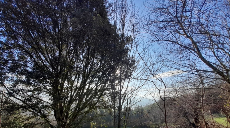 Cantabria - La Aparecida - 150m2