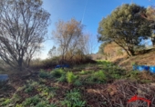 Finca rústica en venta en Ampuero ref: TR67879 foto