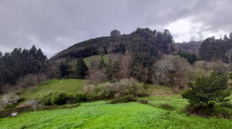 Cantabria - Limpias - 2315m2