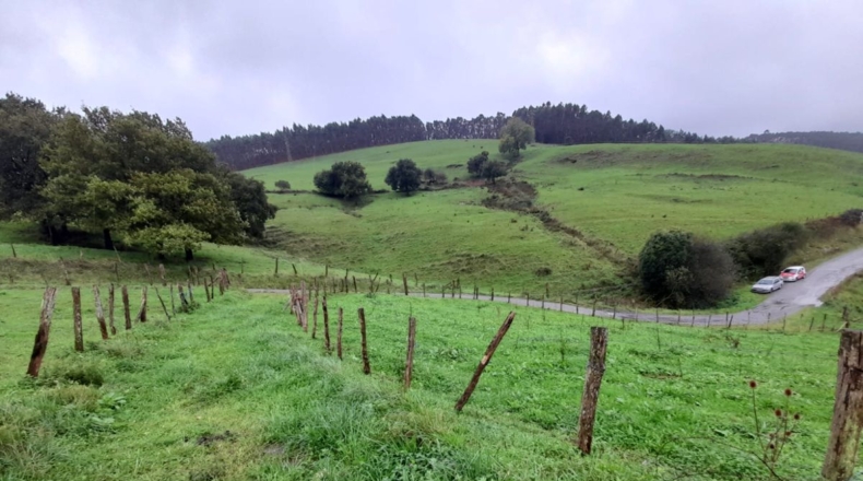 Cantabria - Beranga - 13570m2