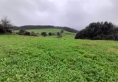 Non-developable land for sale in Barrio Santa Marina ref: TR252544 photo