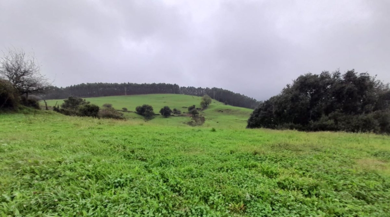Cantabria - Beranga - 13570m2