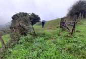 Non-developable land for sale in Barrio Santa Marina ref: TR252544 photo