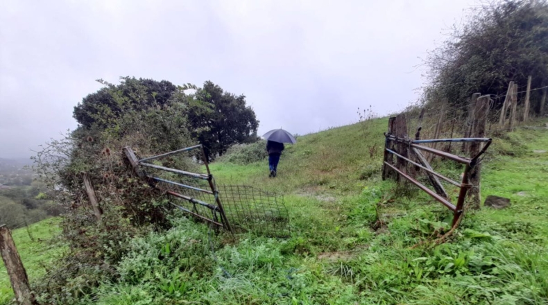 Cantabria - Beranga - 13570m2