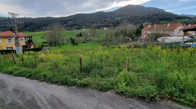 Cantabria - El Cerro - 1031m2