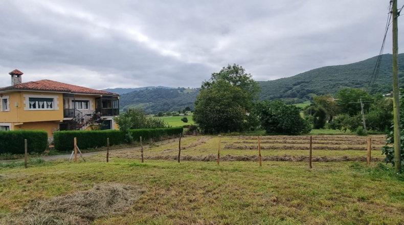 Cantabria - El Cerro - 1031m2