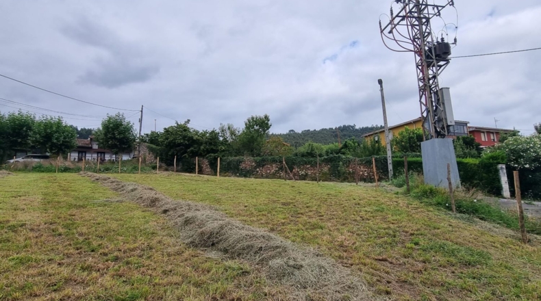 Cantabria - El Cerro - 1031m2