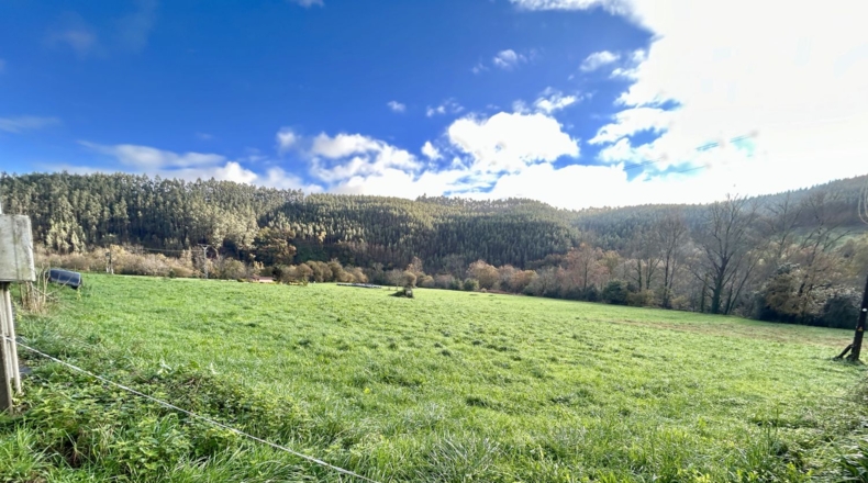 Cantabria - Ampuero - 3679m2