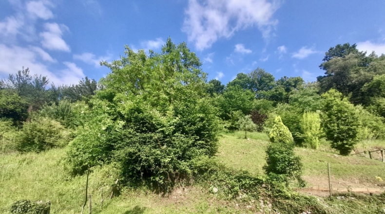 Cantabria - Ramales de la Victoria - 5293m2