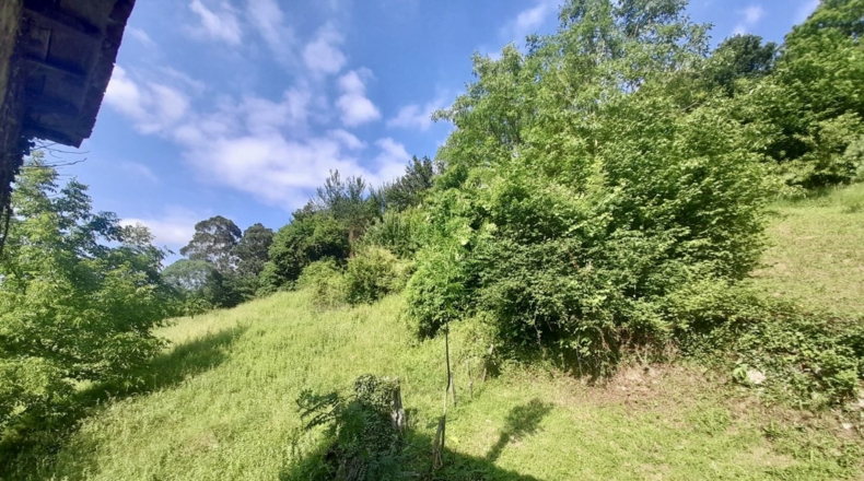 Cantabria - Ramales de la Victoria - 5293m2