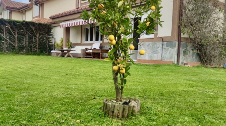 Cantabria - Ampuero - 180m2
