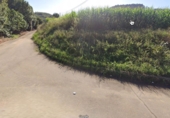 Non-developable land for sale in Bádames ref: TR308195 photo
