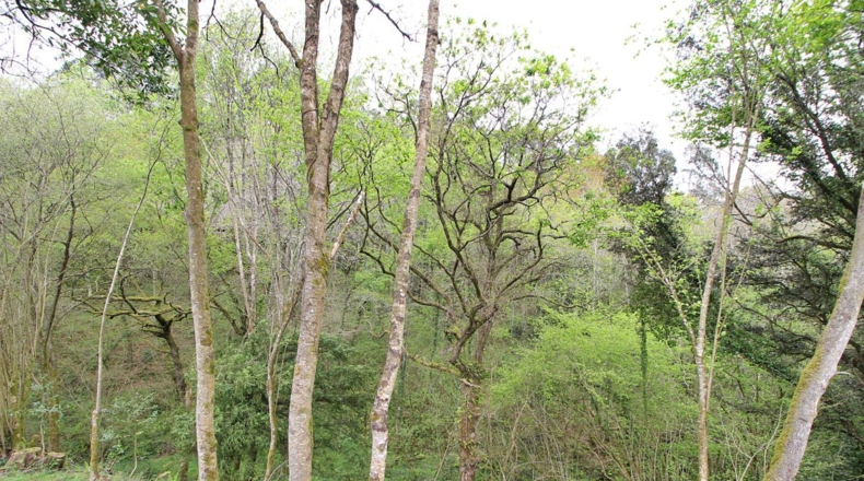 Cantabria - Lugarejos - 1830m2