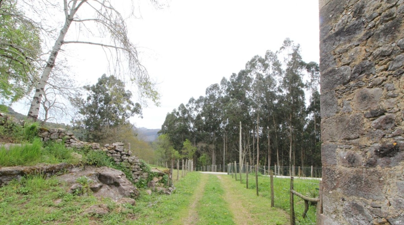 Cantabria - Lugarejos - 311m2