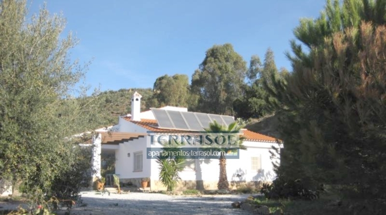 Málaga - Daimalos - 2500m2