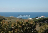 Земельный участок на продажу в городе Vélez-Málaga. Фото