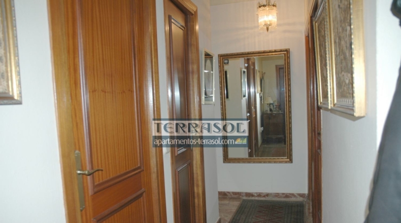 Málaga - Caleta de Velez - 7600m2