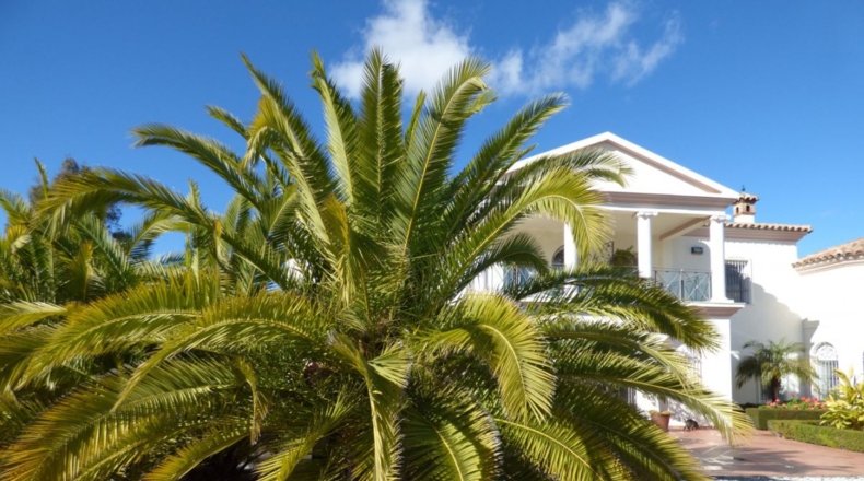 Málaga - Loma de la Cuesta del Molino - 5000m2